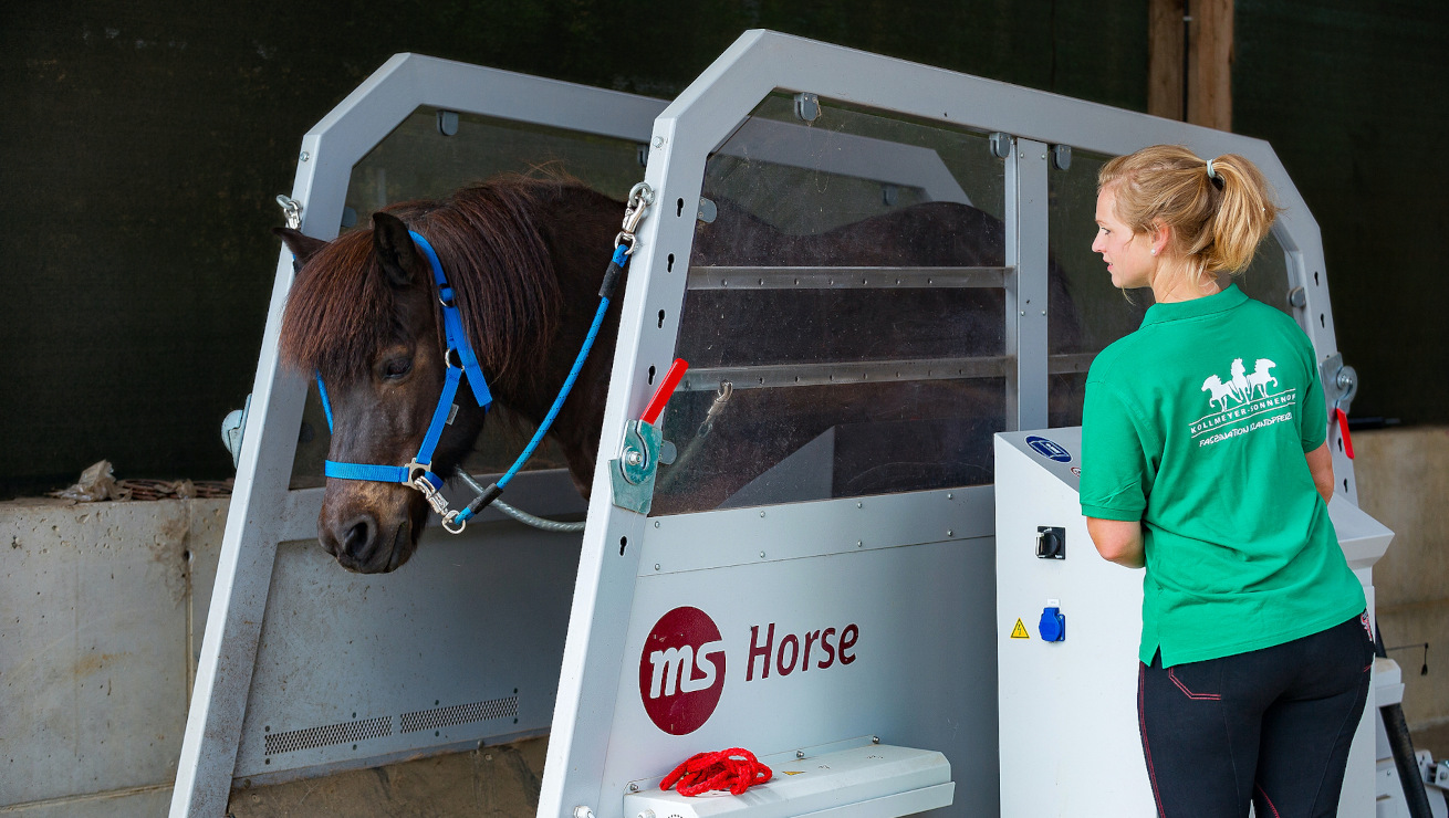 Herzlich willkommen auf dem Sonnenhof Kollmeyer